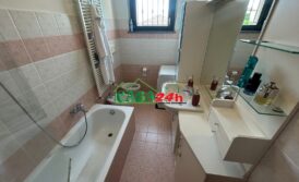 Trelocali con box
