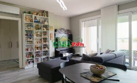Trelocali con terrazzo